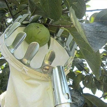 Garden Fruit Picker Head. Orchard, Apple, Pears & Orange High Tree Picking Tool. Fruit Catcher Pouch Detachable Collector