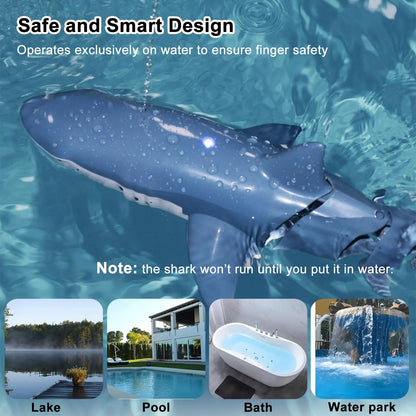 RC Monster Shark Remote Control toy robot. Radio Controlled Boats for swimming pools.