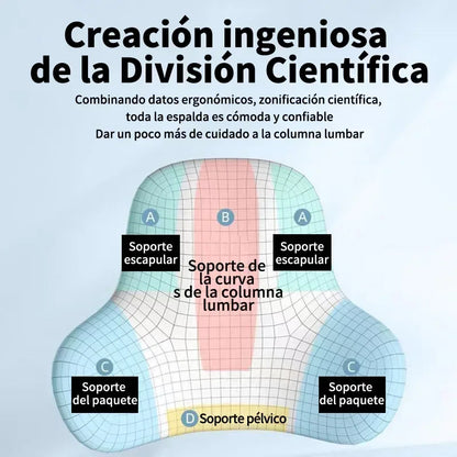 Memory Foam Lumbar Back Cushion for Car, Office, Gaming Chairs and Postpartum Waist Support Multi Functional Pain Relief Pillow